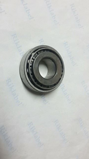 رومان بلى دينمو 102