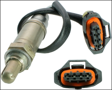 حساس جاكمان فوق فيشة دكر