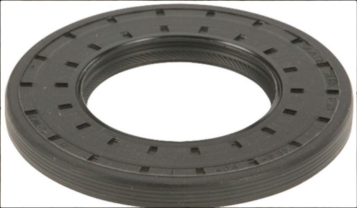 اويل سيل فتيس غرز 