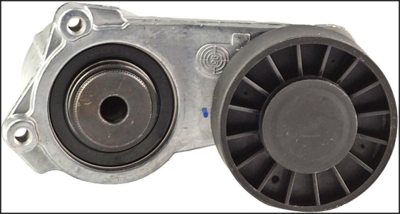 شدادة سير كاملة