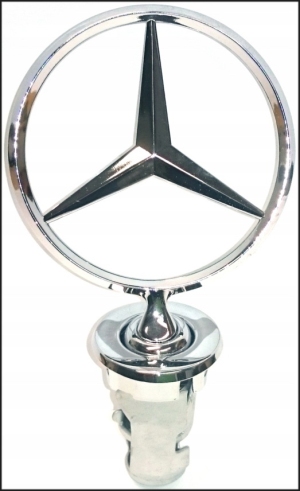 نجمة امامى بالقاعدة