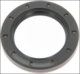 اويل سيل فتيس خلفى