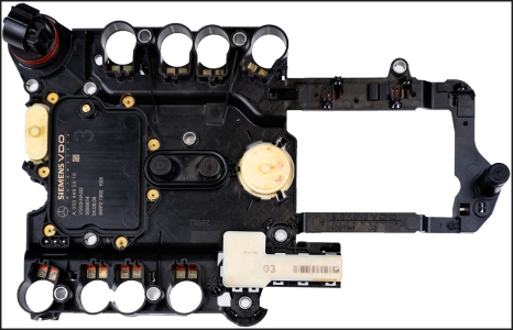 بليت فتيس -فالف بادى- MB | (722.9) 900