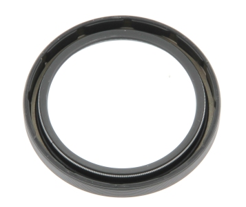 اويل سيل فتيس كونفرتر