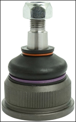 بيضة مقص امامى قصيرة 