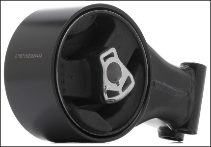 شداد فتيس خلفى