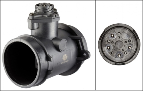 Mass Air Flow Sensor (MAF)