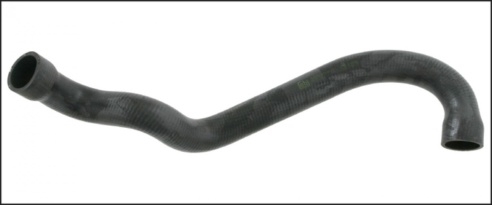 خرطوم رادتير سفلى