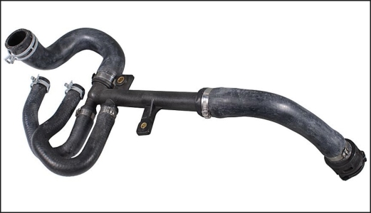 خرطوم رادتير سفلى -شجرة-