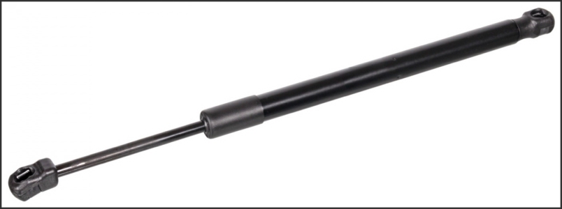 مساعد کابوت امامی