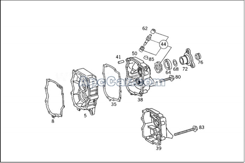 جوان ديل فتيس 